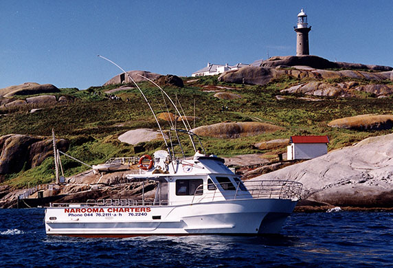 montague island boat trip