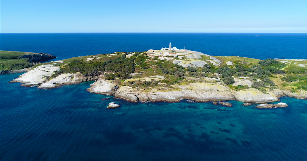 montague island boat trip